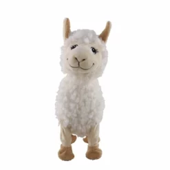 Front -RainBoCorns butikk 100875 2 161125 h7e609981